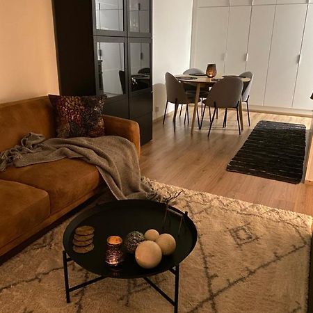 Amazing City Center Apartment Rovaniemi Exteriör bild